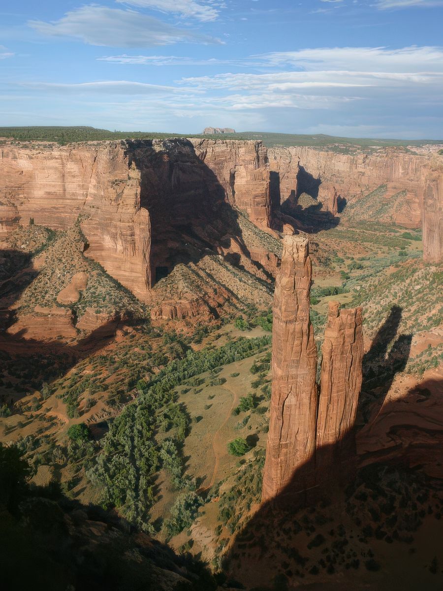 photo L'immensité de carastouille