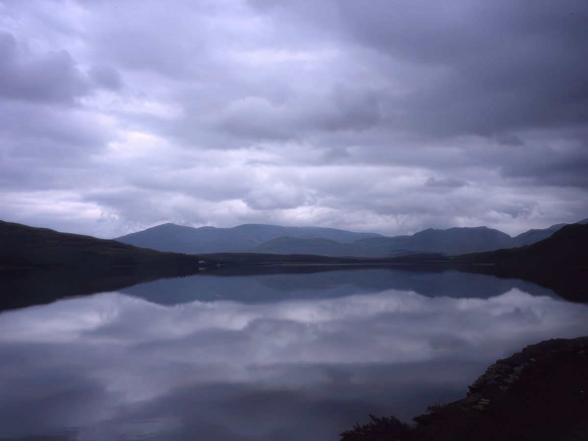 photo L'immensité de ranger