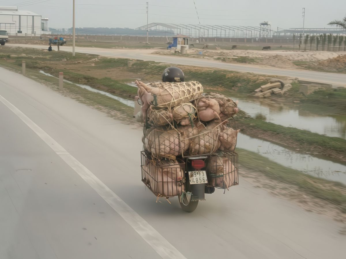 photo Moyen de transport insolite de Fabrice