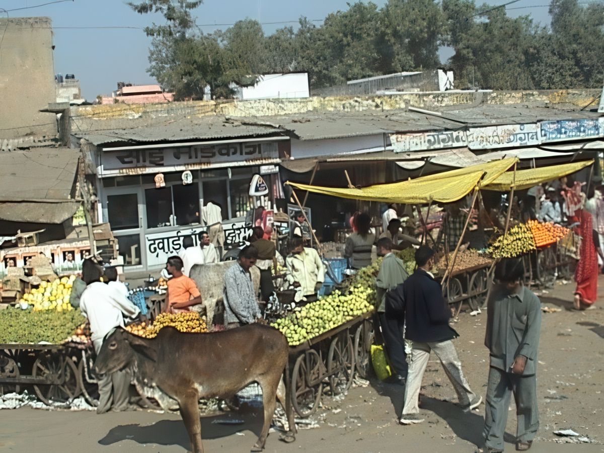 photo Les marchés du monde de jojotroter