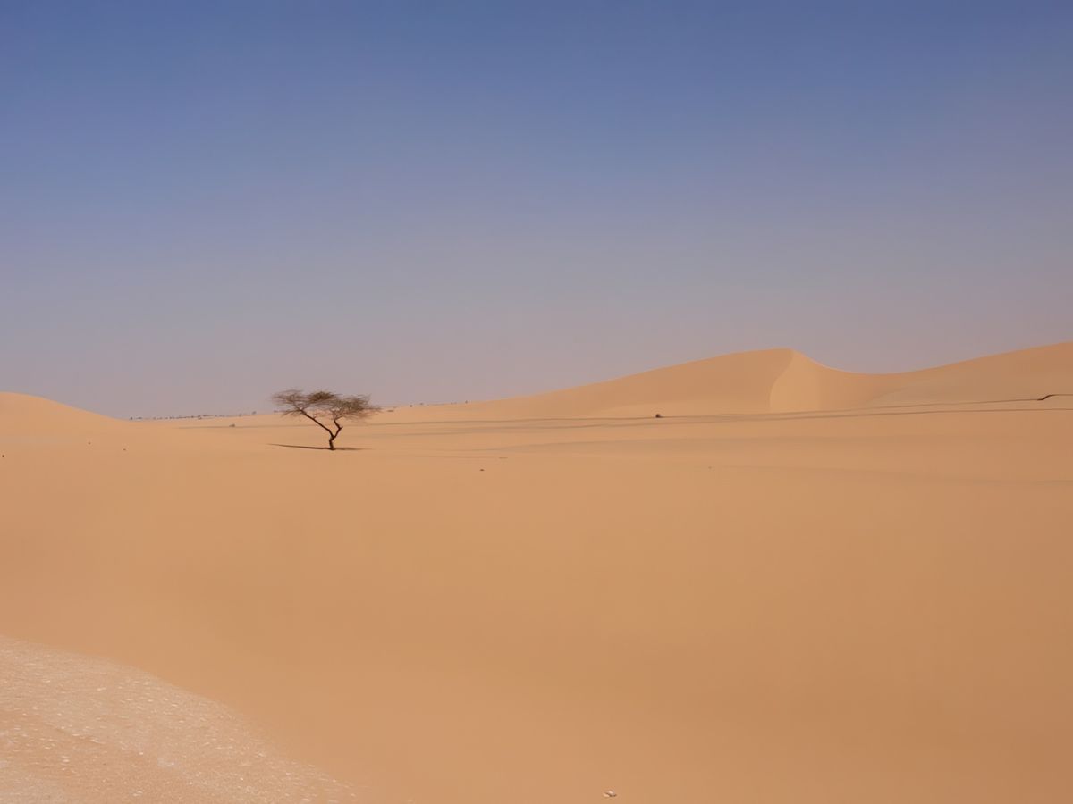 photo Le bout du monde de serrafran
