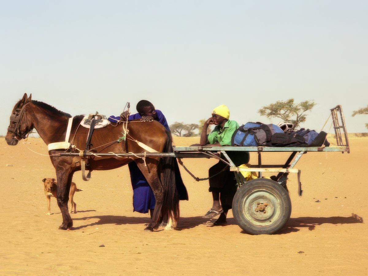 photo Les moyens de transport de ndiaye