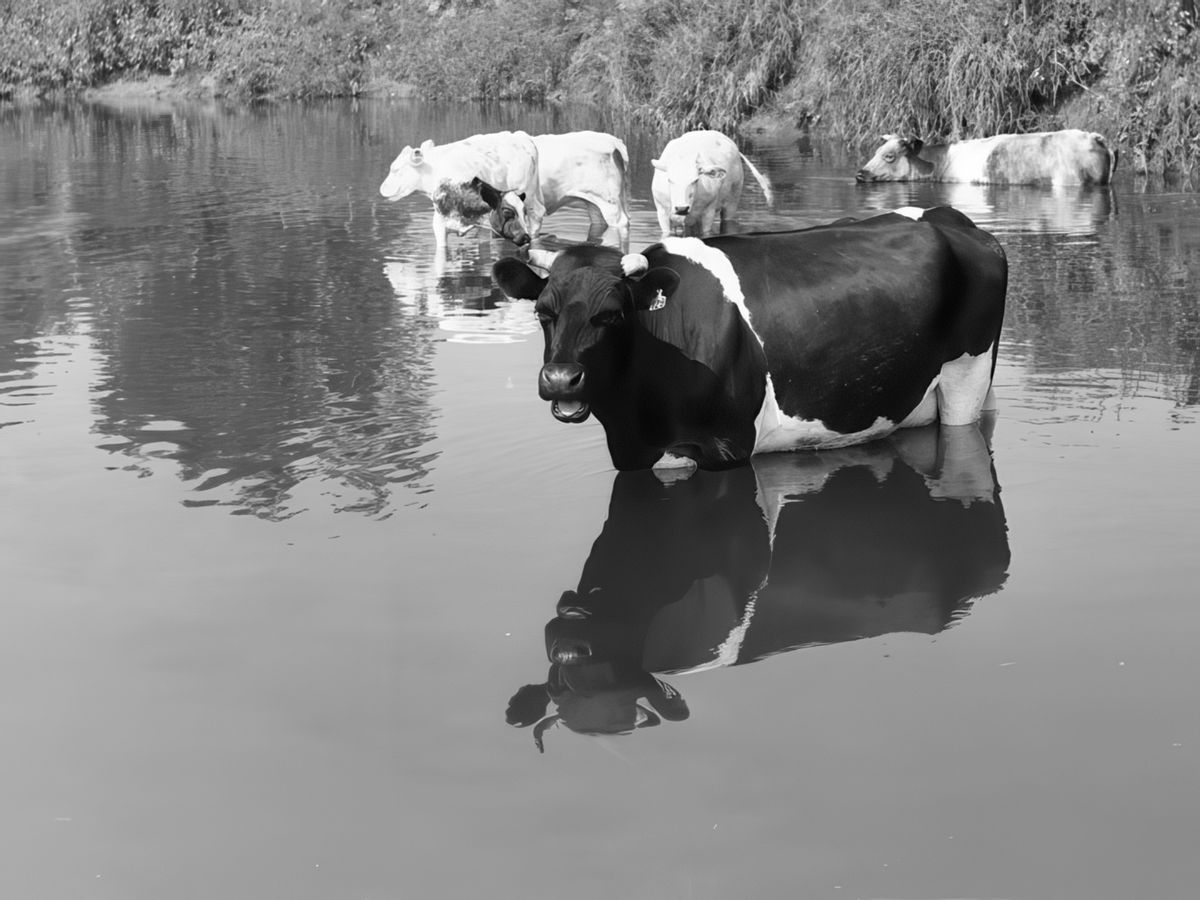 photo Les reflets de ranger