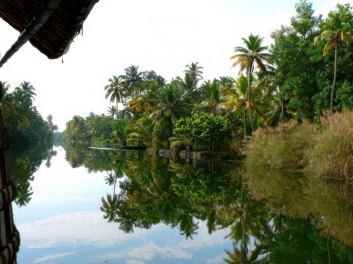photo Les reflets de zazamau