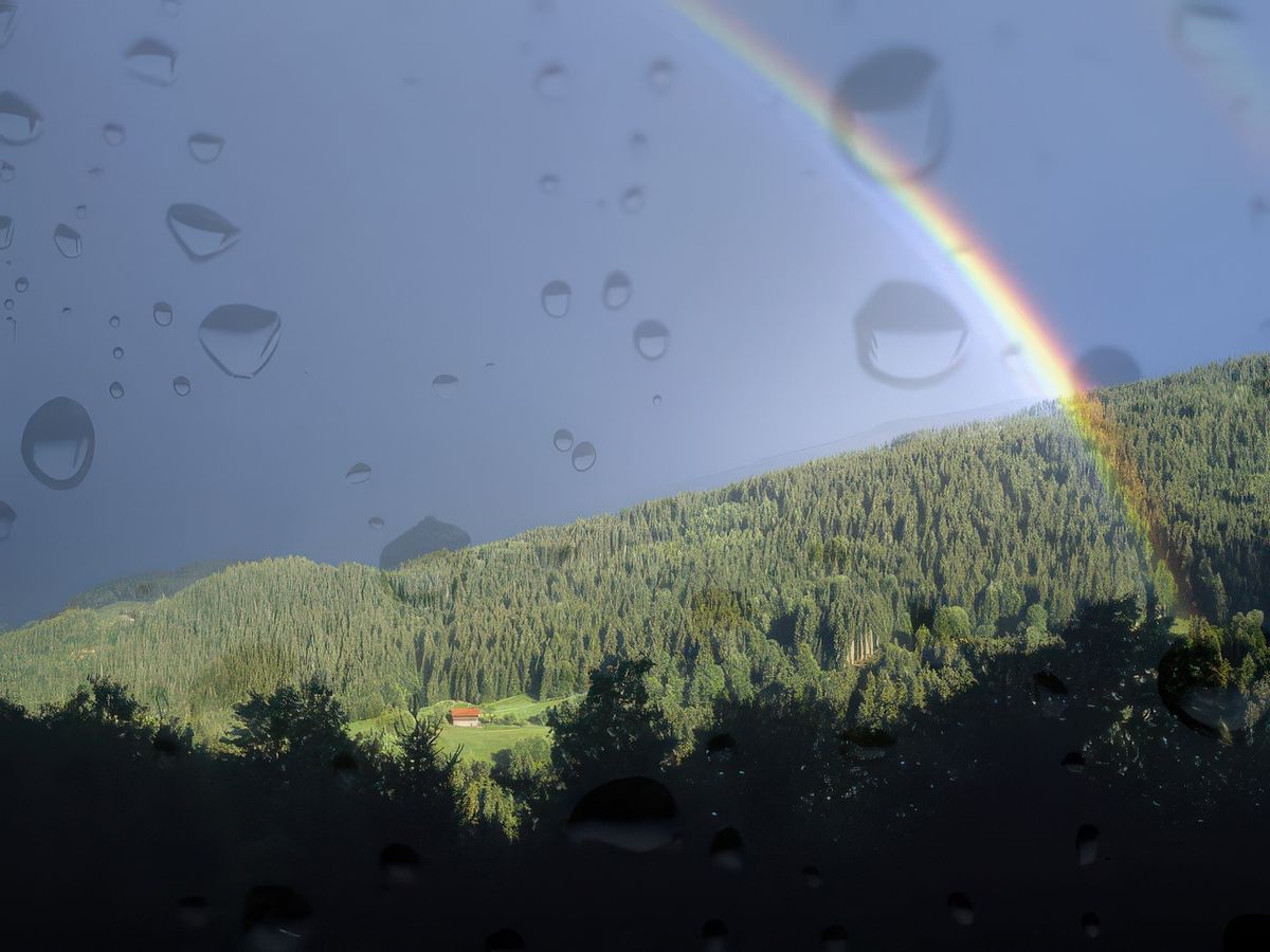 photo Voyage sous la pluie de Tierny