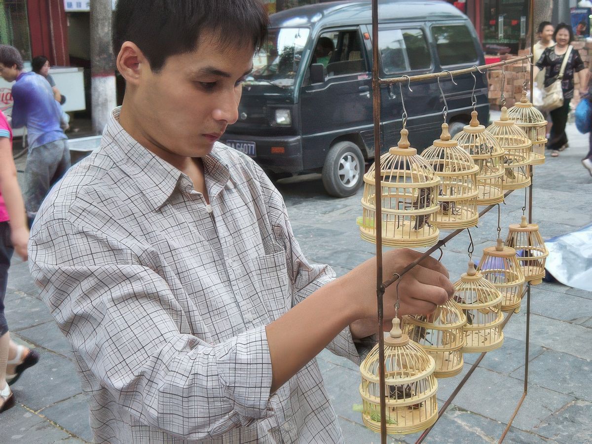 photo Les marchés du monde de ranger