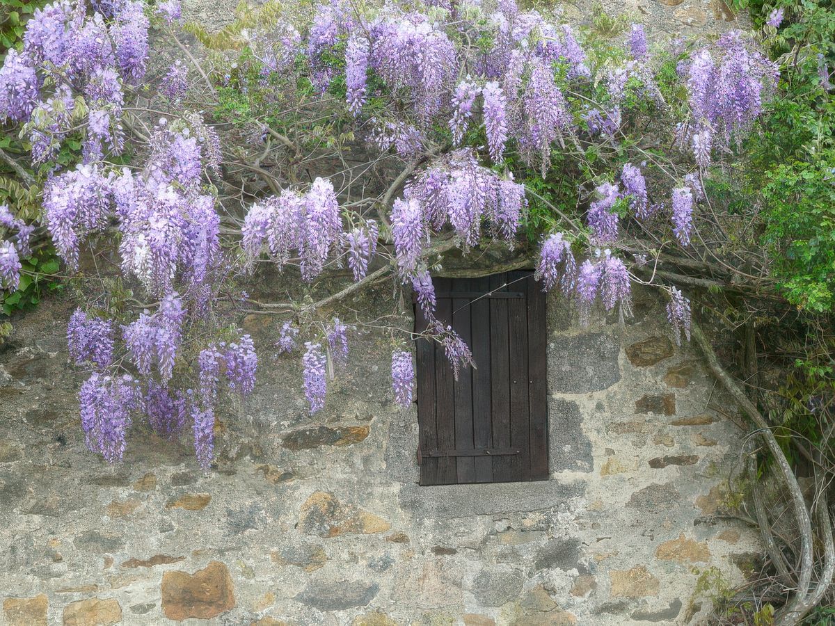 photo Les vieilles pierres de sandrine