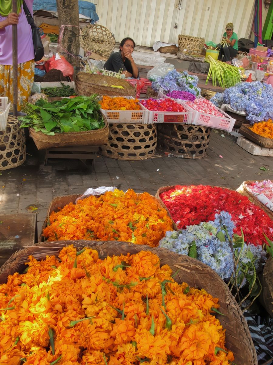 photo Couleur Orange de carlavie