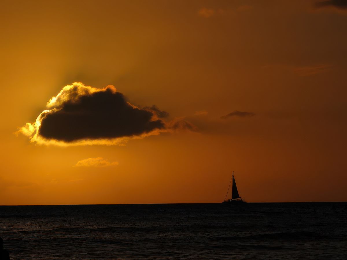 photo Couleur Orange de Janie