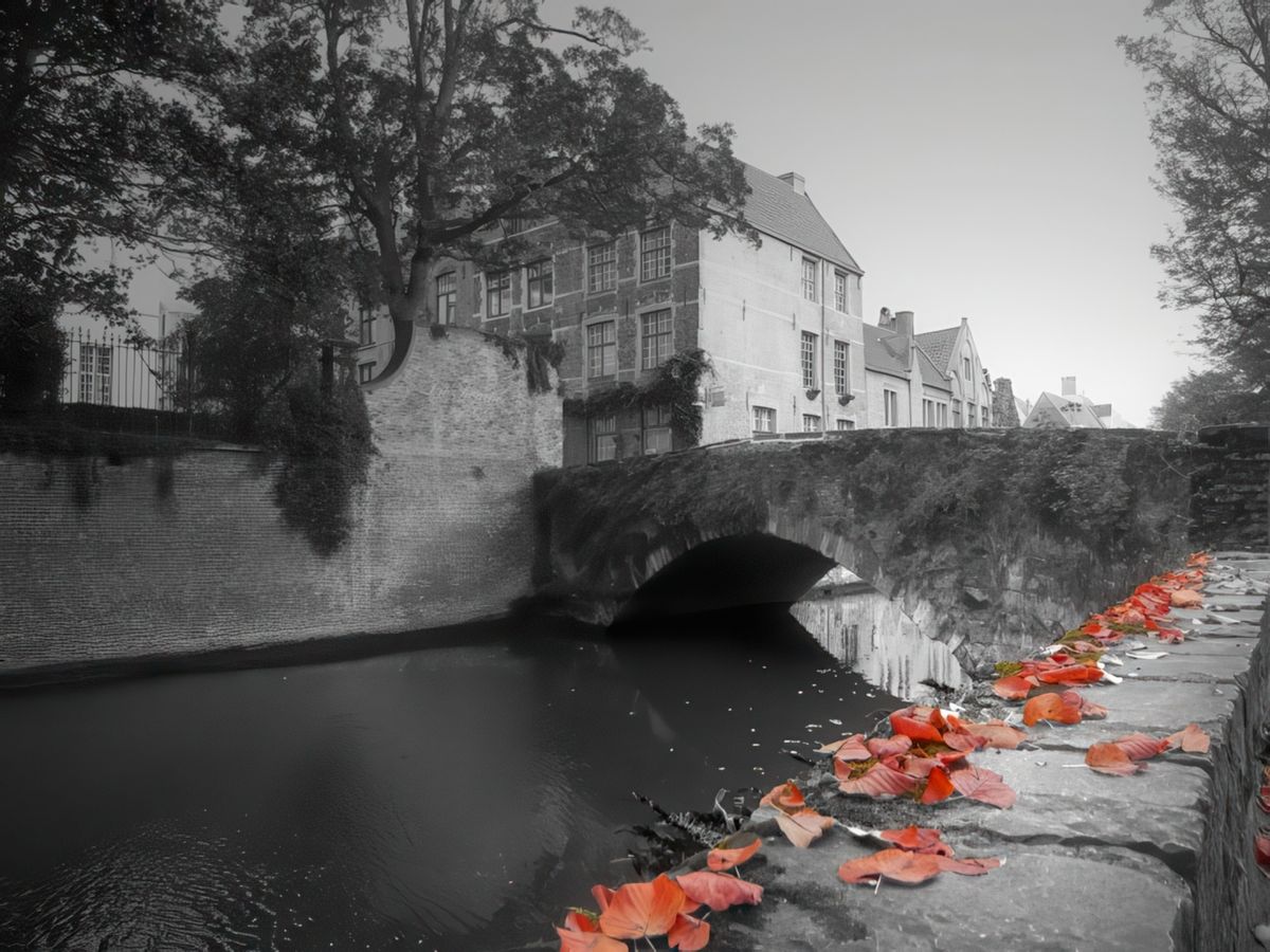 photo Les ponts de Leroy
