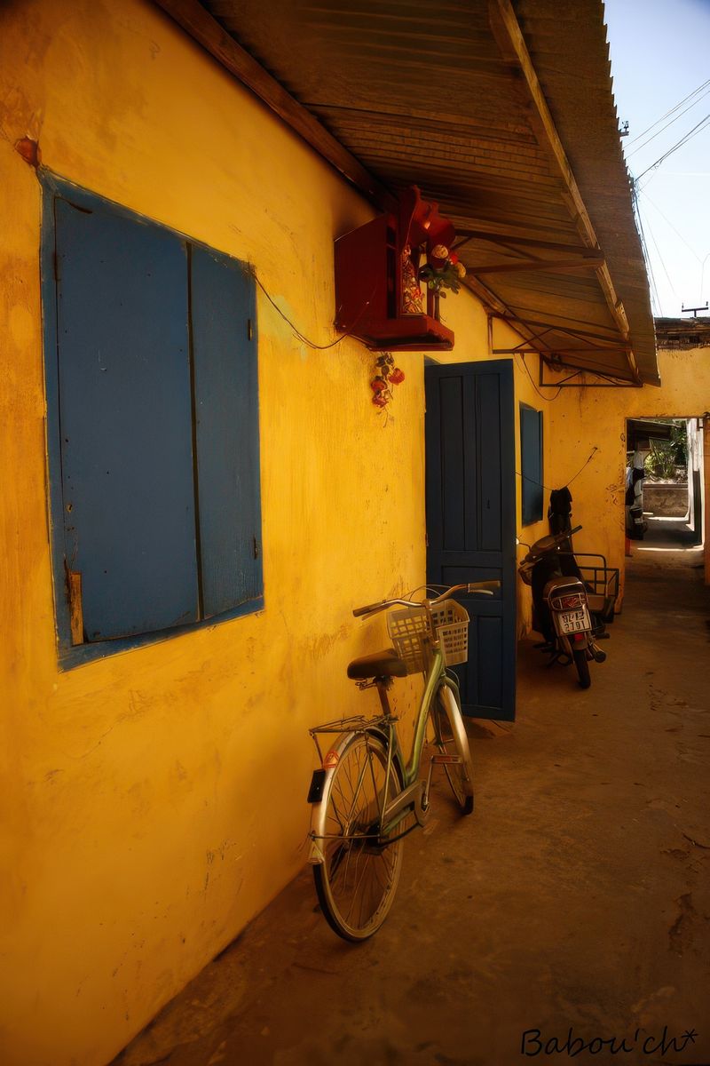 photo Couleur jaune de babouchll
