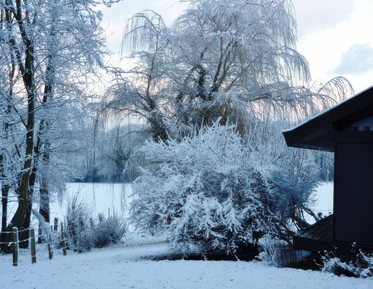 photo Le froid de micri