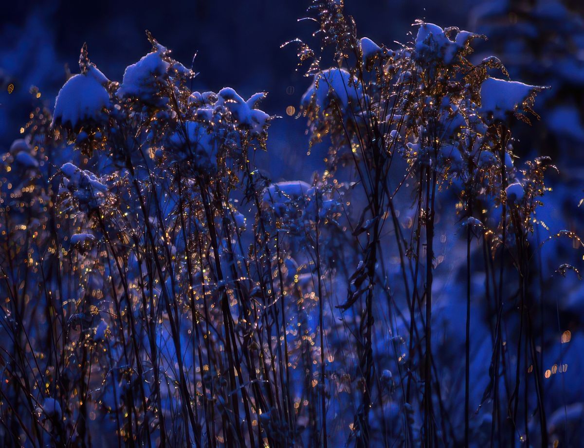 photo Le froid de Réjean