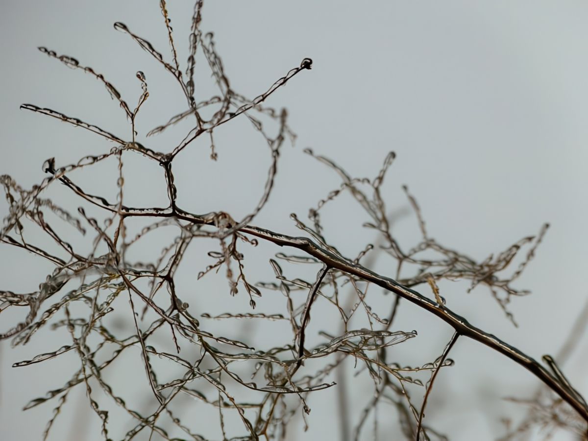 photo Le froid de LNTT