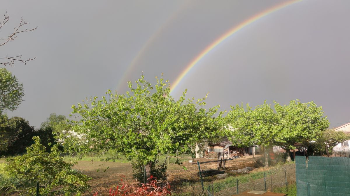 photo Après la pluie de Bergeronnette40