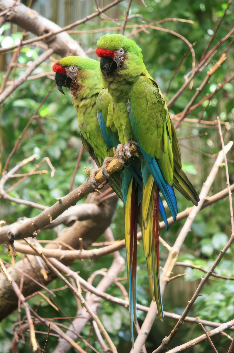 photo Couleur Verte de jbonamour