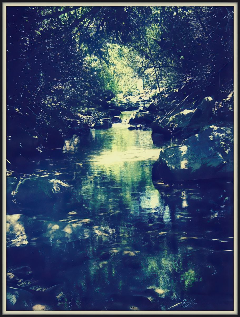 photo Couleur Verte de walid erra