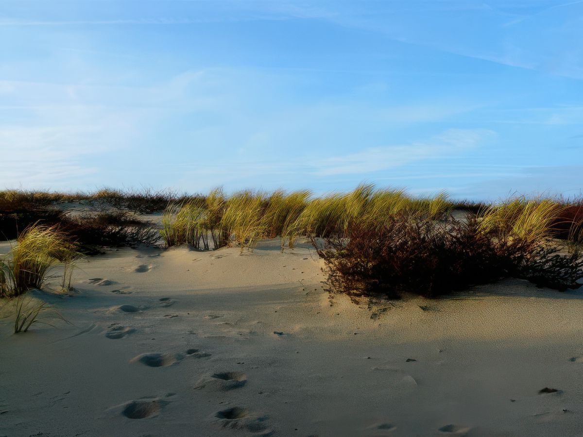 photo Dame Nature de Marion18
