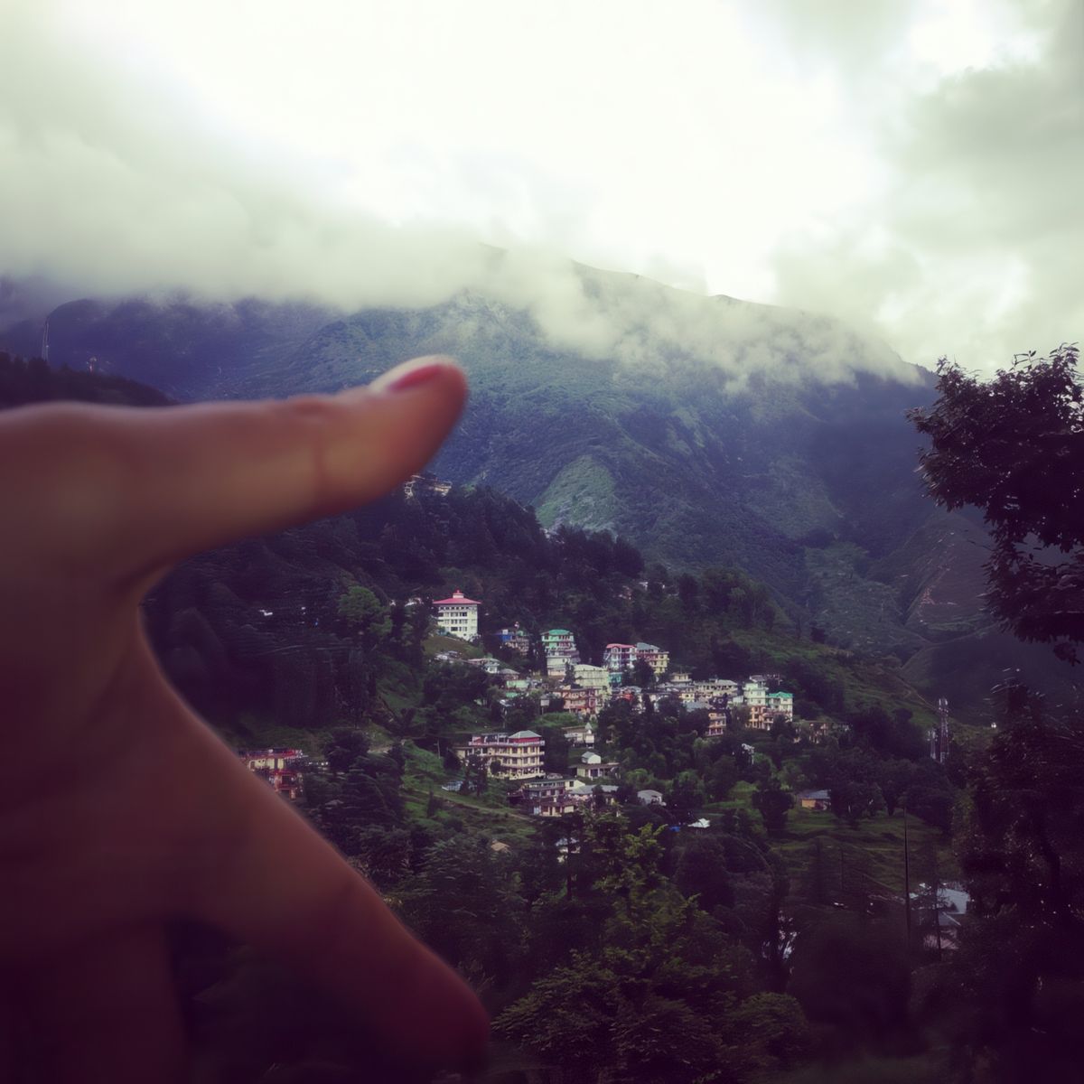 photo Les montagnes de lilibrg