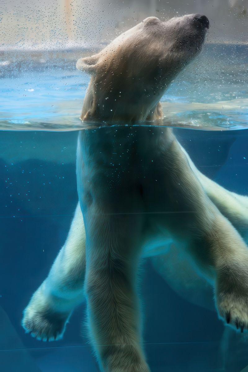photo Du poil à la bête de travelearth