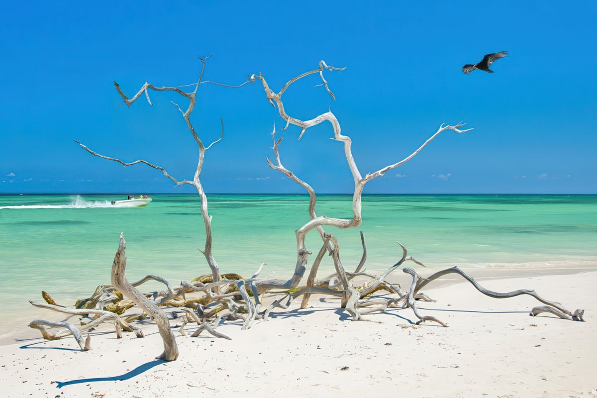 photo Paysages du monde de JCl ORTIZ