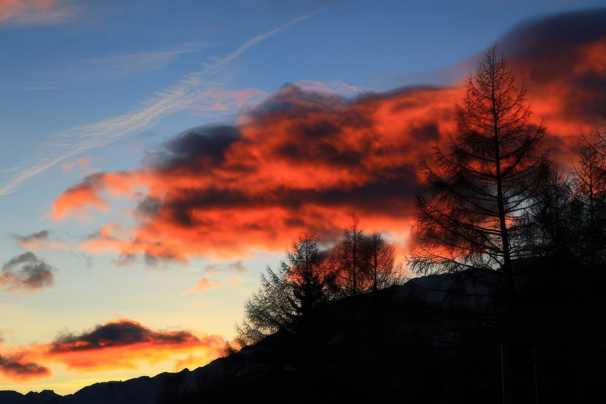 photo Voyage flamboyant de travelearth