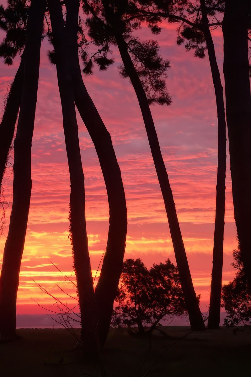 photo Voyage flamboyant de James