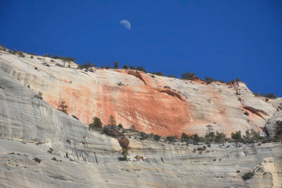 photo Les contrastes de thetravelface