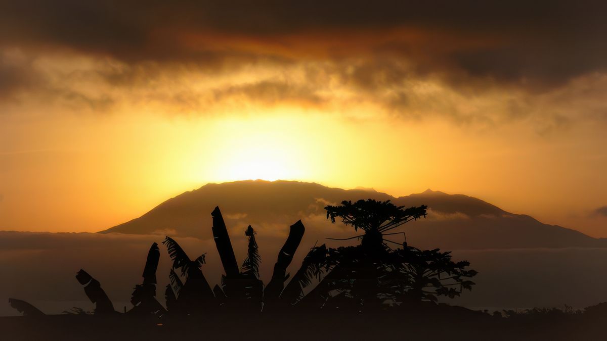 photo Au petit matin de LNTT