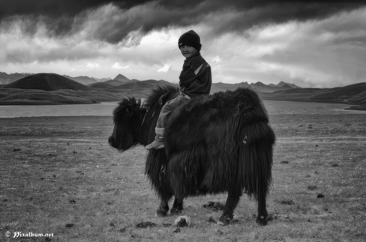 photo Insolite de pixalbum