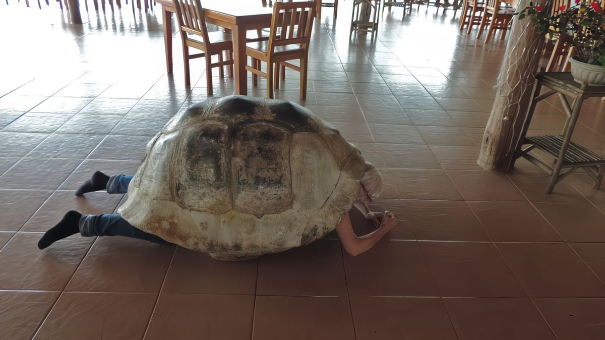 photo Insolite de Bergeronnette40