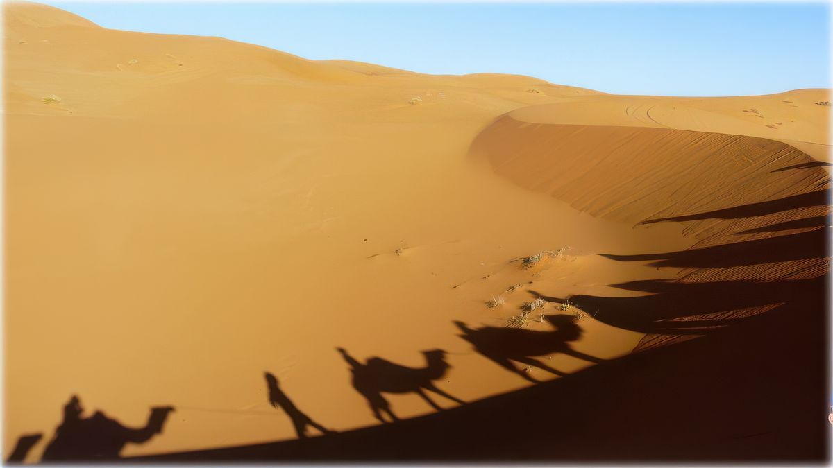 photo Jeux d'ombres et de lumières de Blogtrotter