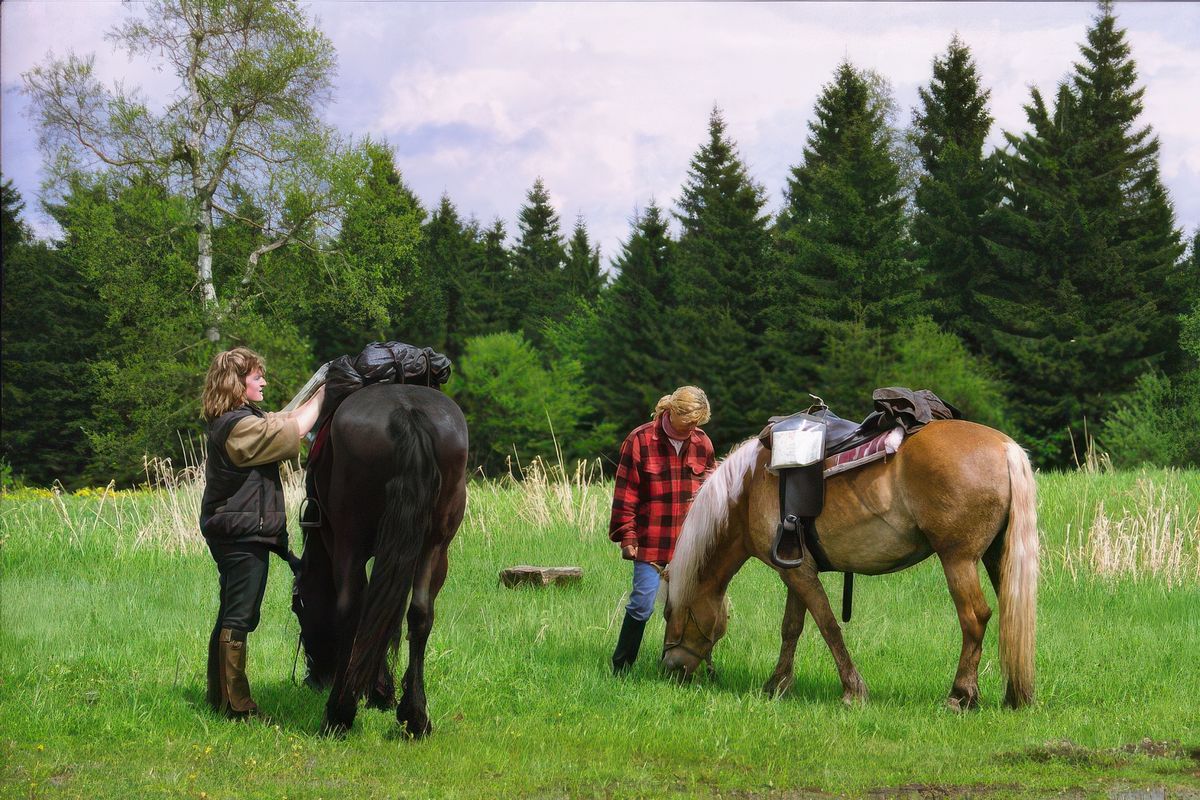 photo Le bonheur est dans le pré de ranger