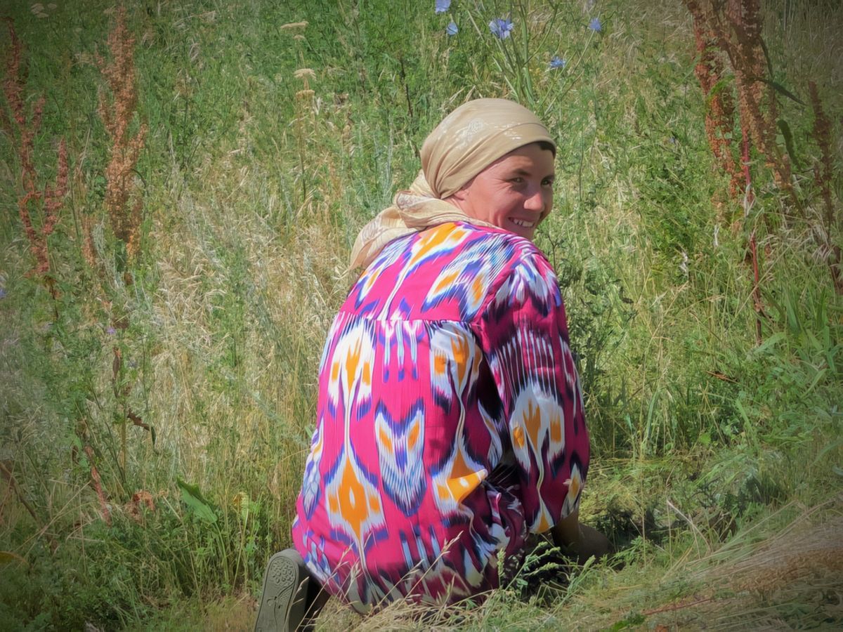 photo Le bonheur est dans le pré de LNTT