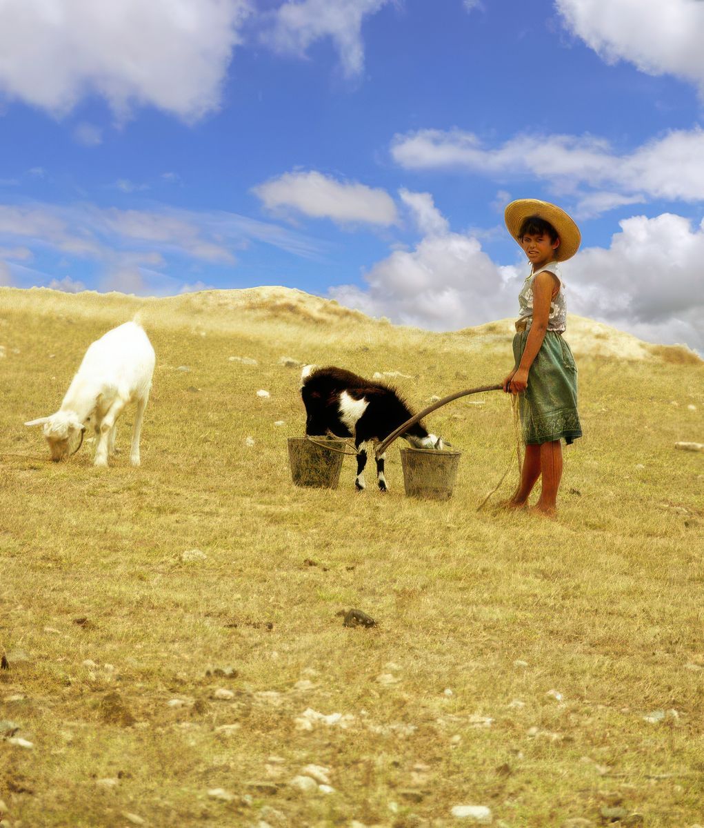 photo Le bonheur est dans le pré de josydhoest