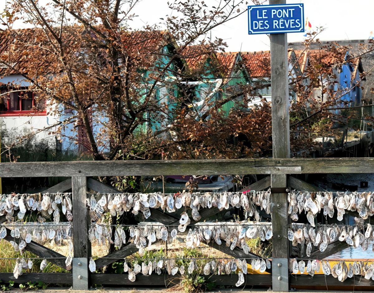 photo Les coquilles de GUITOU 87