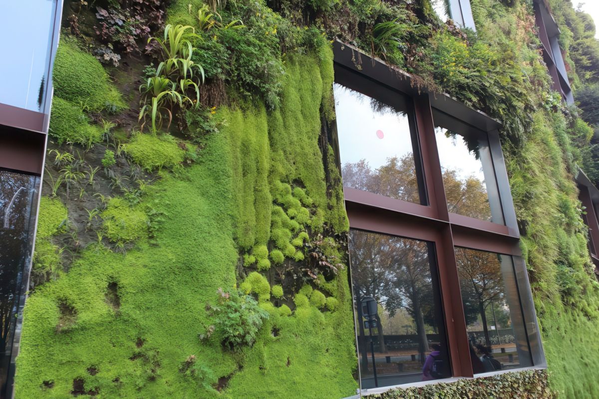 photo La verdure de enitram