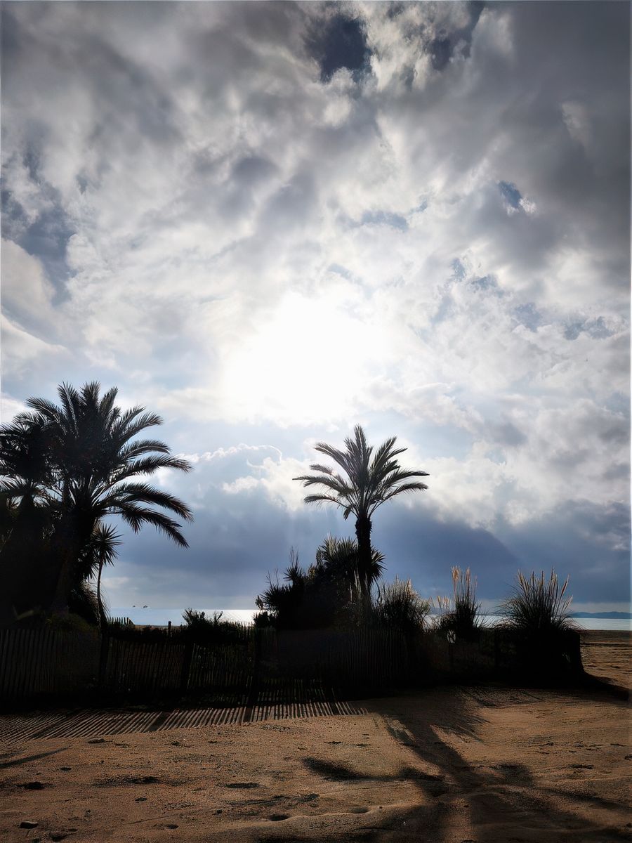photo Contre jour de kokiyage