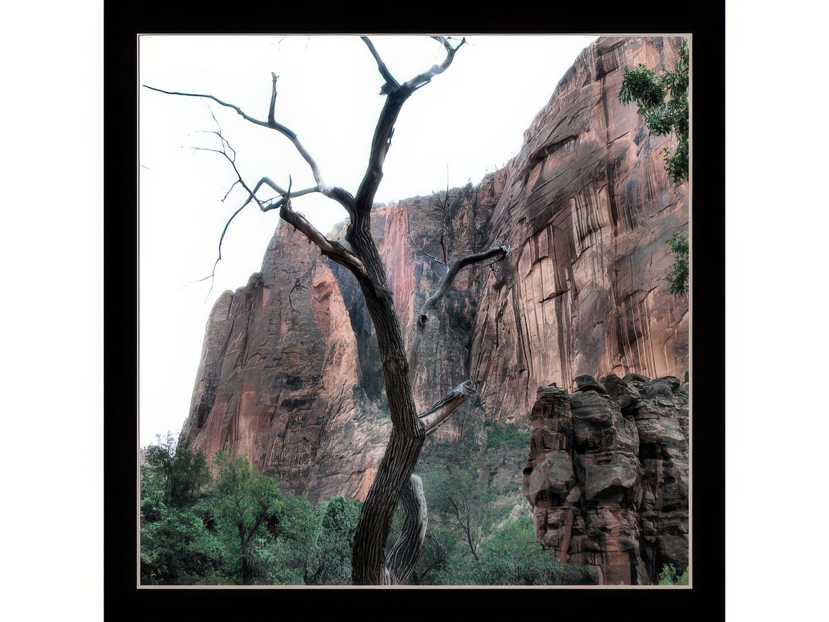 Zion