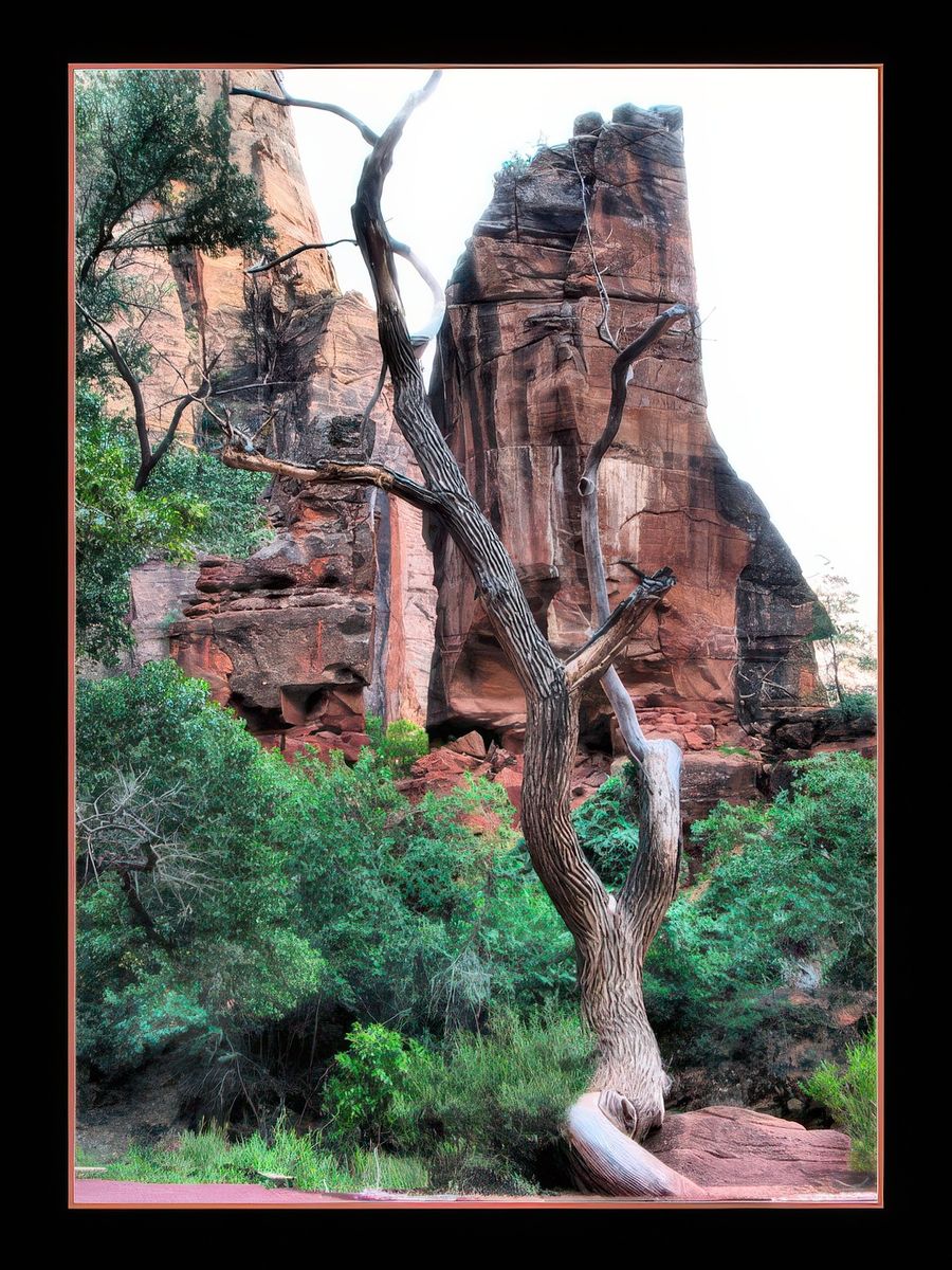 Zion