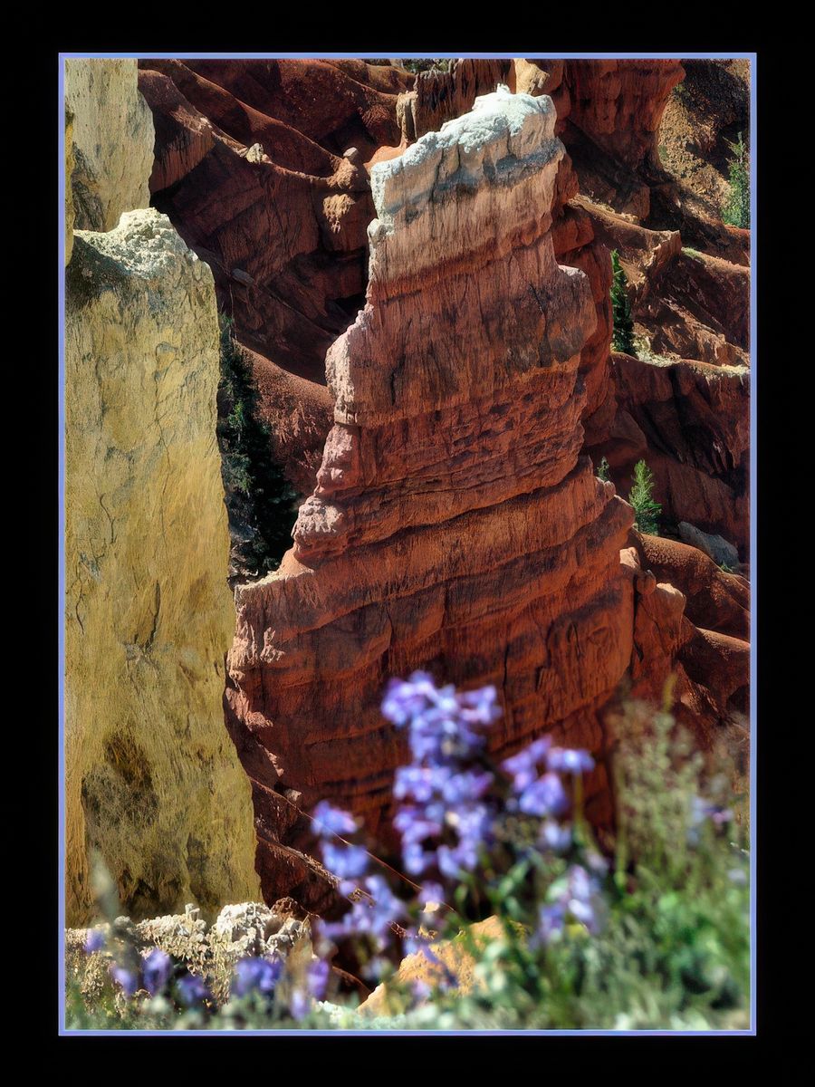 Cedar Breaks Monument – États-Unis