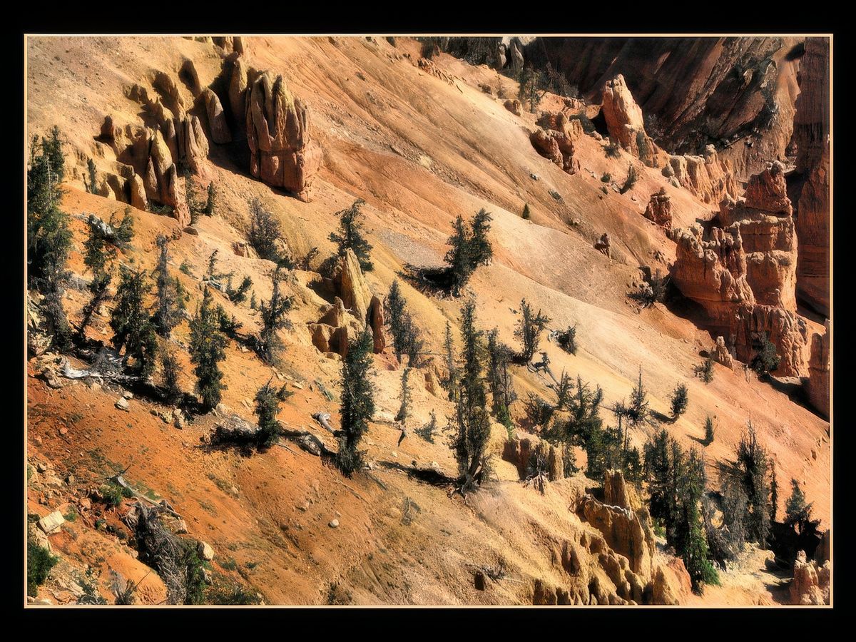 Cedar Breaks Monument – États-Unis