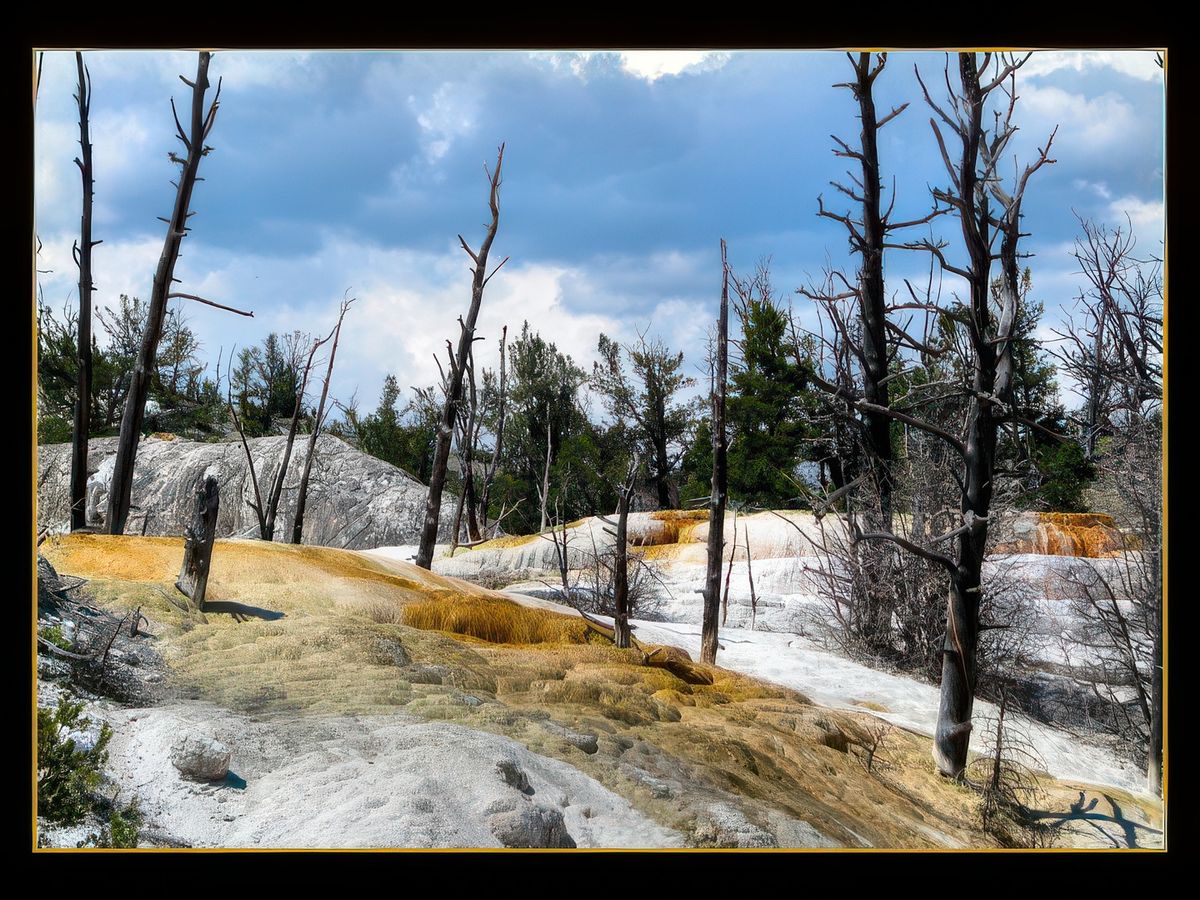 Mammoth Hot Springs