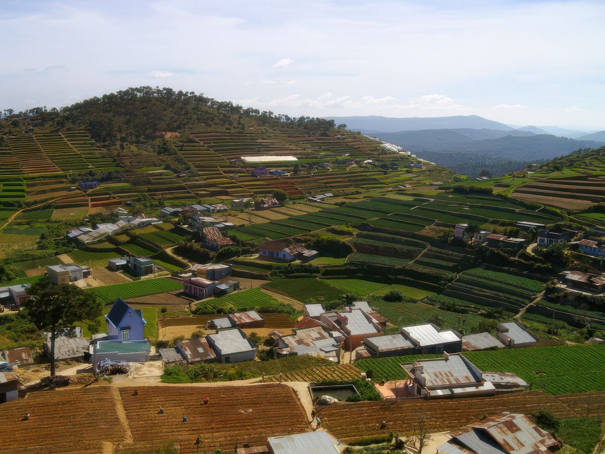 Plantations, Dalat est considéré comme le grenier du Vietnam. Ici, grace au microclimat ambiant tout ou presque pousse et alimente le reste du pays
