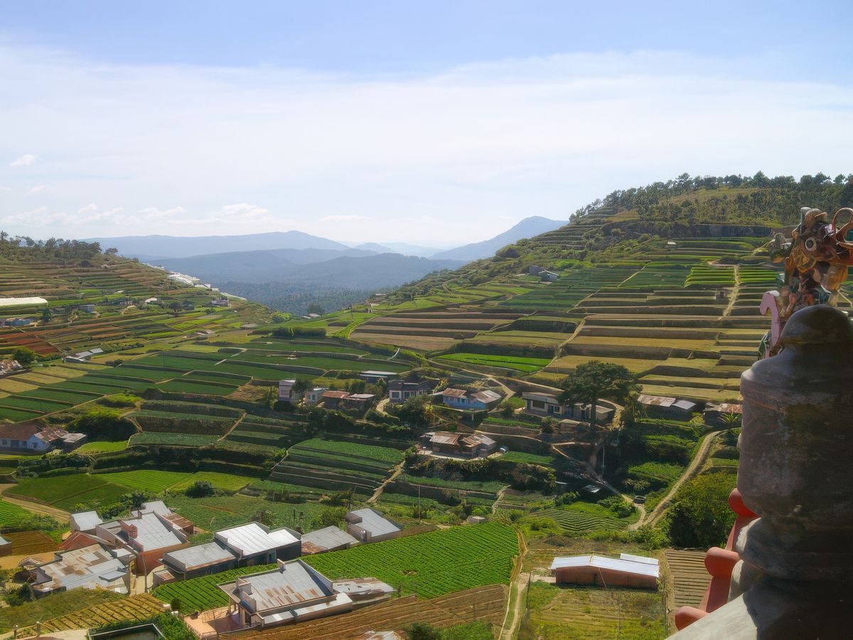 Plantations, Dalat est considéré comme le grenier du Vietnam. Ici, grace au microclimat ambiant tout ou presque pousse et alimente le reste du pays