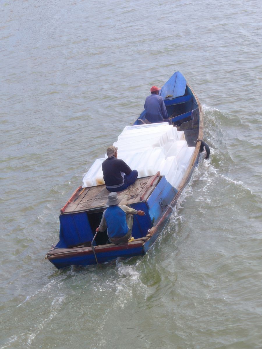 Transport de pains de glace dans le port de pêche