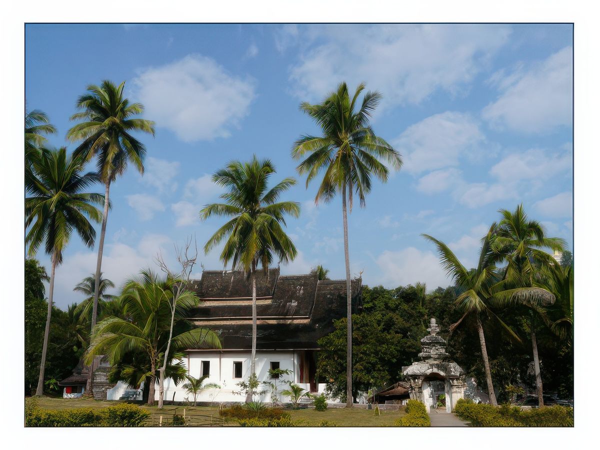 Le Vat Visunnarat est le plus ancien temple de Luang Prabang. Il a été restauré entre 1896 et 1898 après avoir été incendié par les pirates ho des Pavillons noirs en 1887. A l'origine il était en bois mais les restaurateurs ont cherché à donner aux balustrades des fenêtres du sim l'apparence de lattes de bois dans une structure totalement construite en briques et en stuc.