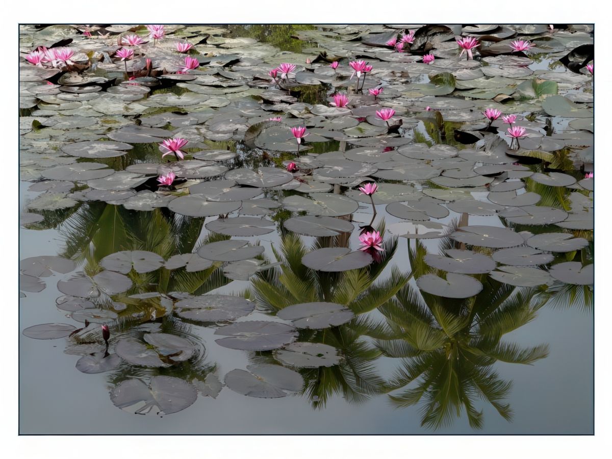 Reflets.