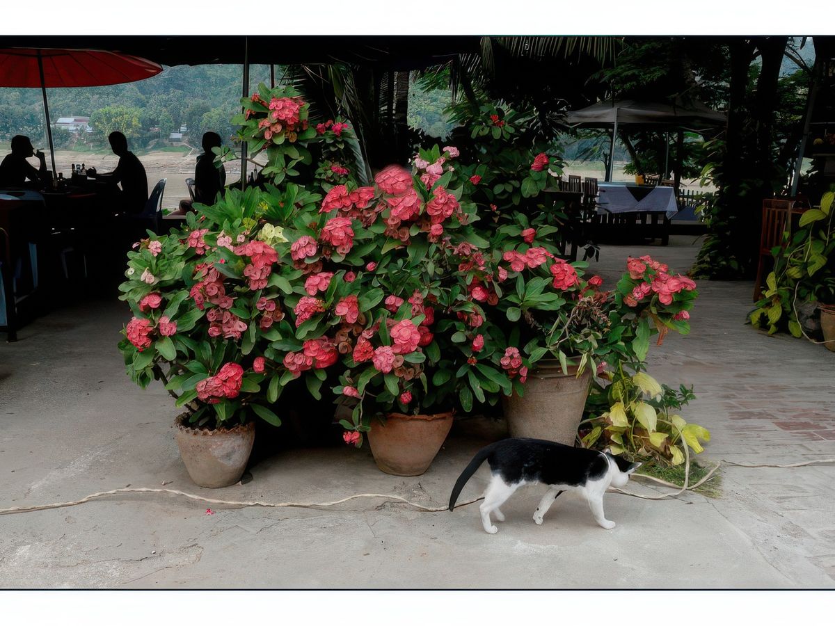 Une pause au bord du Mekong.