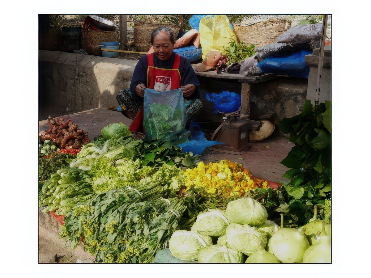 Un petit tour au marché local ; un bel étal de légumes et de plantes sauvages.